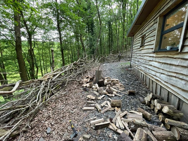 Splitting block and axes surrounded by prepared firewood against woodland backdrop