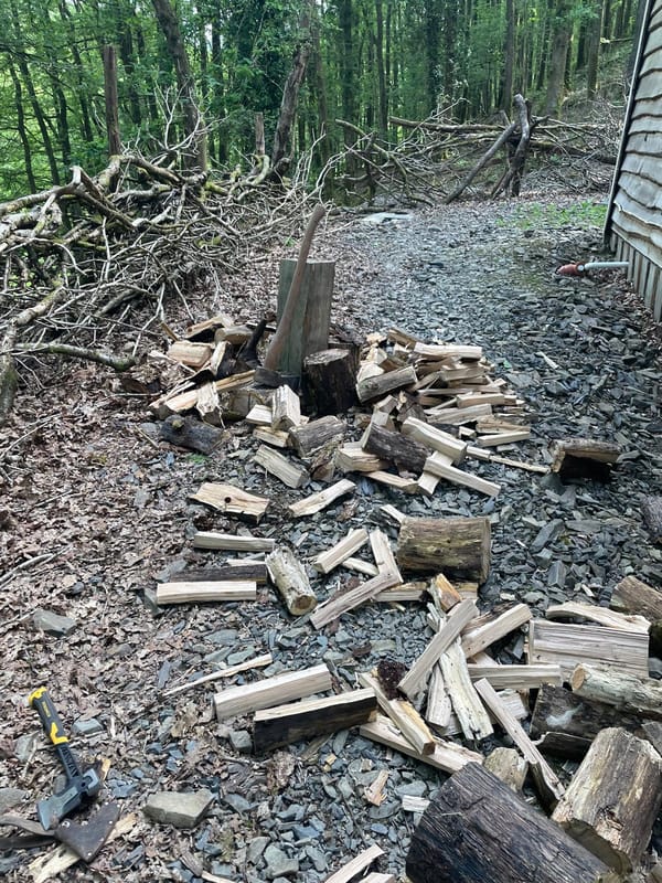 Sectioned tree log rounds cut along the grass pasture border ready for splitting