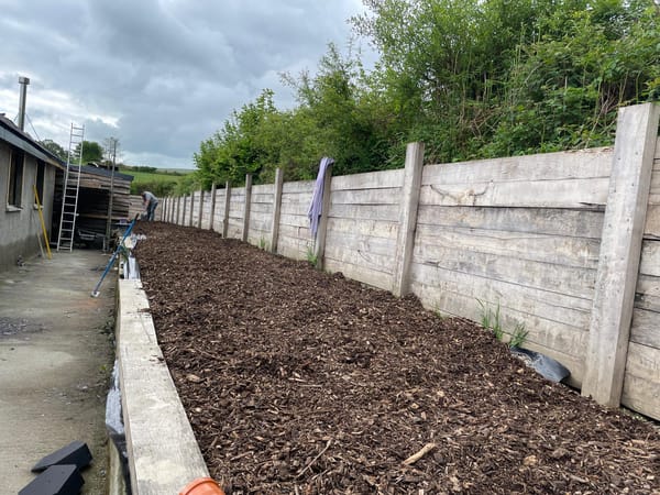 Groundwork excavation and initial timber post alignment for an oak retaining wall in Carmarthenshire.
